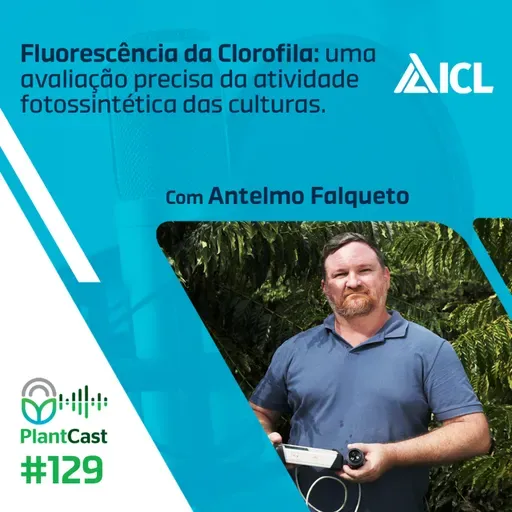 Plantcast #129 Fluorescência da Clorofila: uma avaliação precisa da atividade fotossintética das culturas