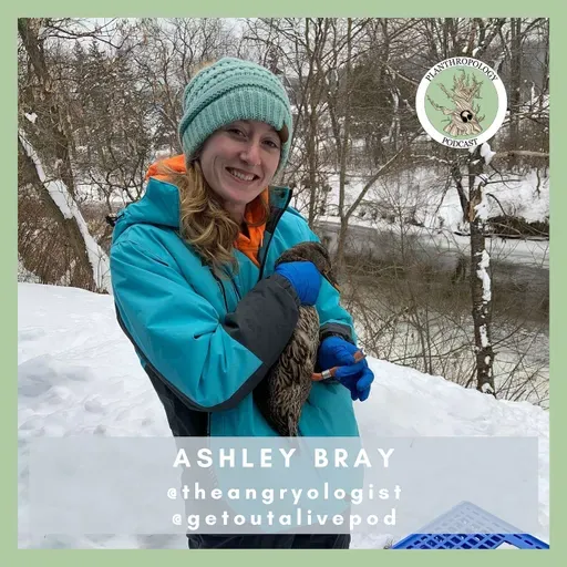 110. Habitats, Invasive Species, and Possibly Antagonistic Bear Interactions w/ Ashley Bray