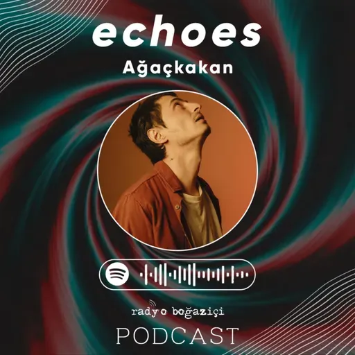 echoes | Ağaçkakan ile olağaniçi dönemler ve prospektüs okumaları