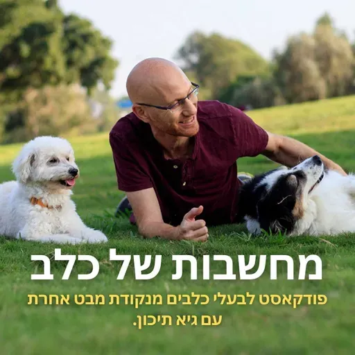 פרק 169 | ה-א'-ב' של התנהגות כלבית, פרק שייקח את ההבנה הכלבית שלך לרמה הבאה.