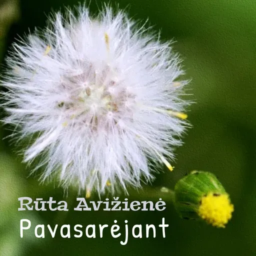 Rūta Avižienė.Pavasarėjant