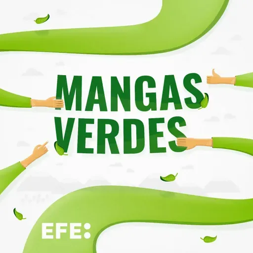 Mangas Verdes | 25 años del contenedor azul